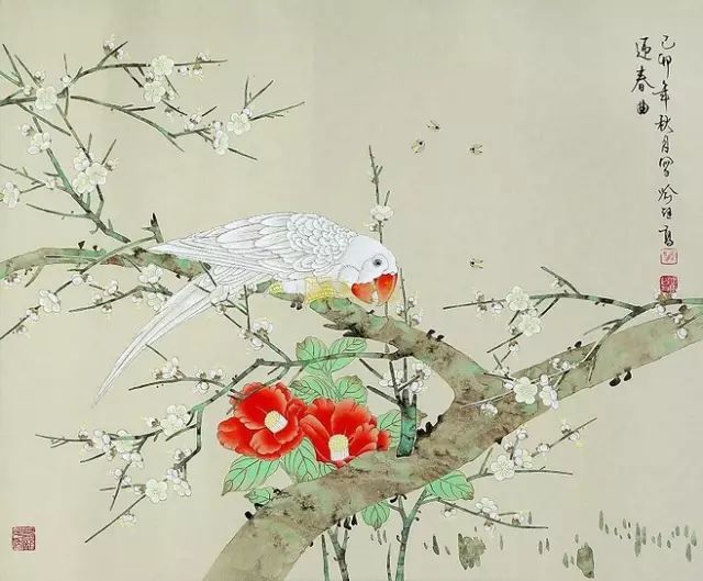 图片